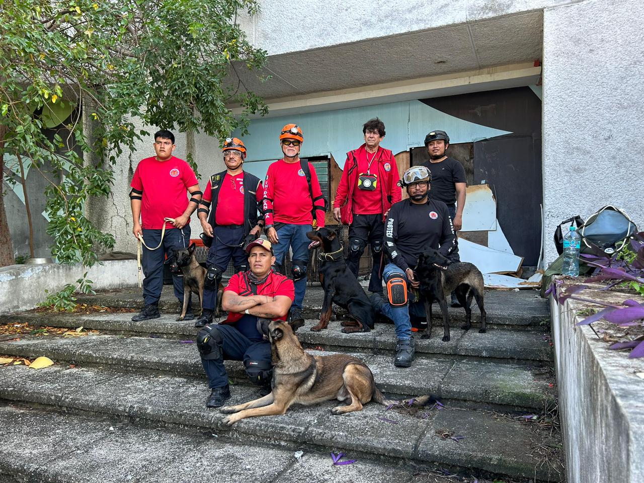 uploads/6/32/01 (2717).Jpeg